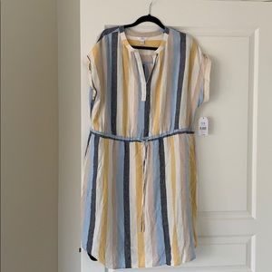 Time and Tru linen dress